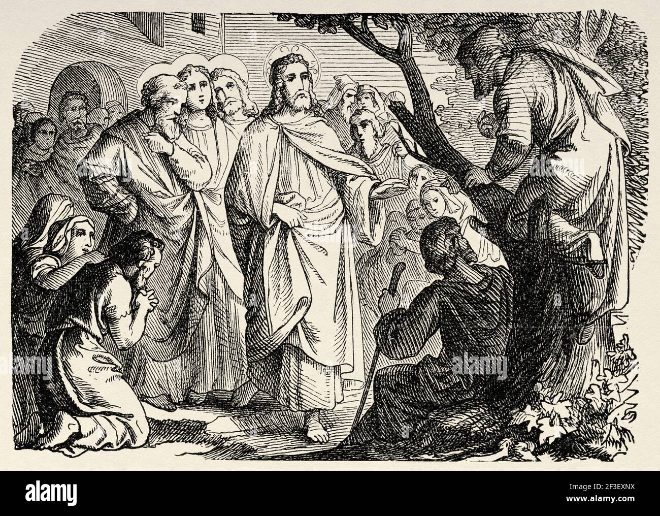 zacchaeus-jesus-and-the-chief-tax-collector-at-jerico-zacchaeus-climbed-up-into-a-sycamore-tree-new-testament-old-19th-century-engraved-illustration-from-history-of-the-bible-1883-2F3EXNX
